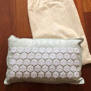 Kanjo Mint Buckwheat Pillow